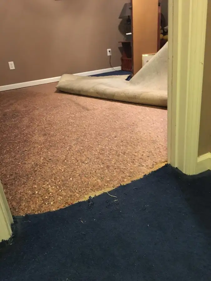 Carpet pad removal revealing water damage during Water Mitigation Services in North Middleton